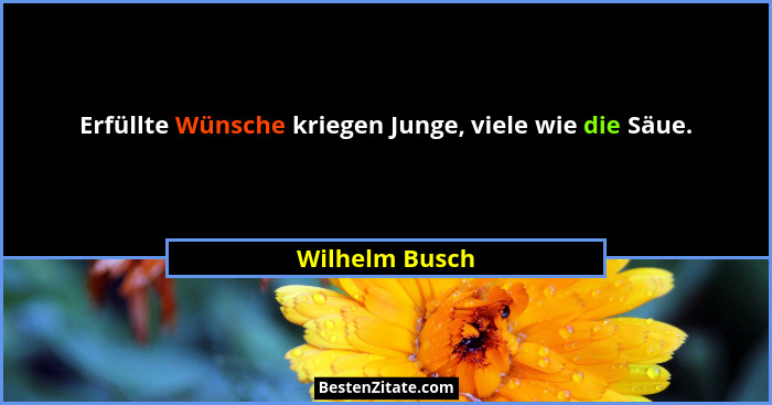 Erfüllte Wünsche kriegen Junge, viele wie die Säue.... - Wilhelm Busch