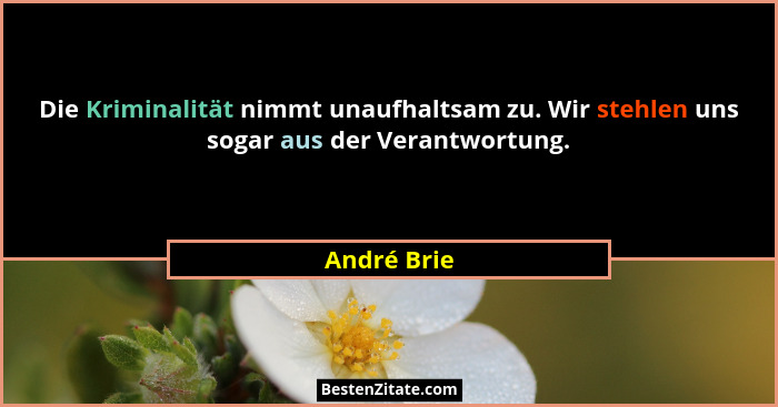 Die Kriminalität nimmt unaufhaltsam zu. Wir stehlen uns sogar aus der Verantwortung.... - André Brie