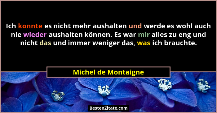 Ich konnte es nicht mehr aushalten und werde es wohl auch nie wieder aushalten können. Es war mir alles zu eng und nicht das und... - Michel de Montaigne