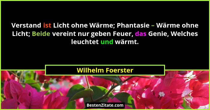Verstand ist Licht ohne Wärme; Phantasie – Wärme ohne Licht; Beide vereint nur geben Feuer, das Genie, Welches leuchtet und wärmt.... - Wilhelm Foerster