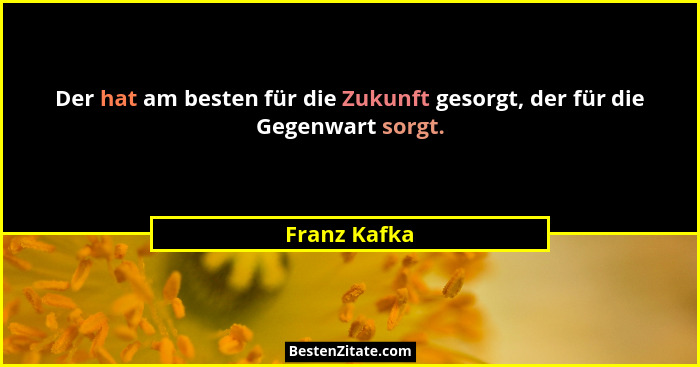 Der hat am besten für die Zukunft gesorgt, der für die Gegenwart sorgt.... - Franz Kafka