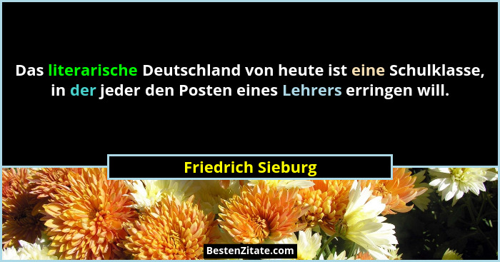 Das literarische Deutschland von heute ist eine Schulklasse, in der jeder den Posten eines Lehrers erringen will.... - Friedrich Sieburg