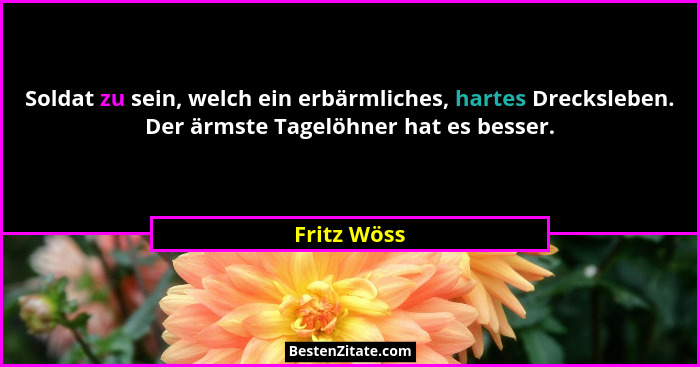 Soldat zu sein, welch ein erbärmliches, hartes Drecksleben. Der ärmste Tagelöhner hat es besser.... - Fritz Wöss