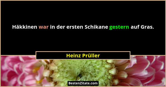 Häkkinen war in der ersten Schikane gestern auf Gras.... - Heinz Prüller