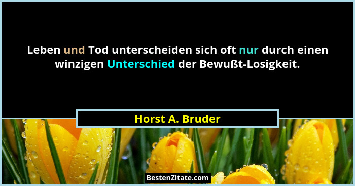 Leben und Tod unterscheiden sich oft nur durch einen winzigen Unterschied der Bewußt-Losigkeit.... - Horst A. Bruder