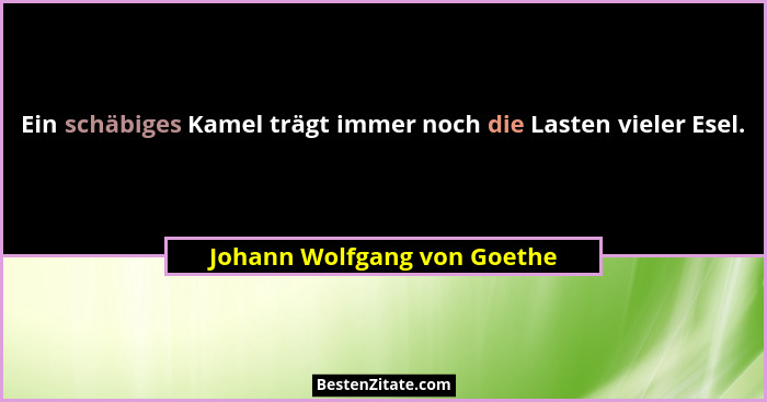 Ein schäbiges Kamel trägt immer noch die Lasten vieler Esel.... - Johann Wolfgang von Goethe