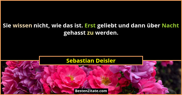 Sie wissen nicht, wie das ist. Erst geliebt und dann über Nacht gehasst zu werden.... - Sebastian Deisler