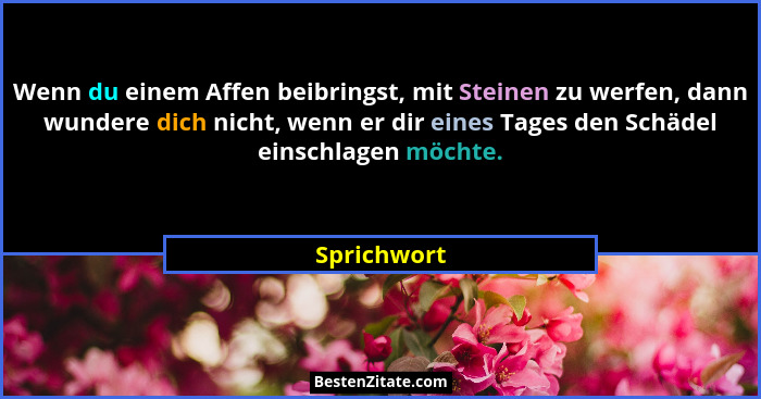 Wenn du einem Affen beibringst, mit Steinen zu werfen, dann wundere dich nicht, wenn er dir eines Tages den Schädel einschlagen möchte.... - Sprichwort