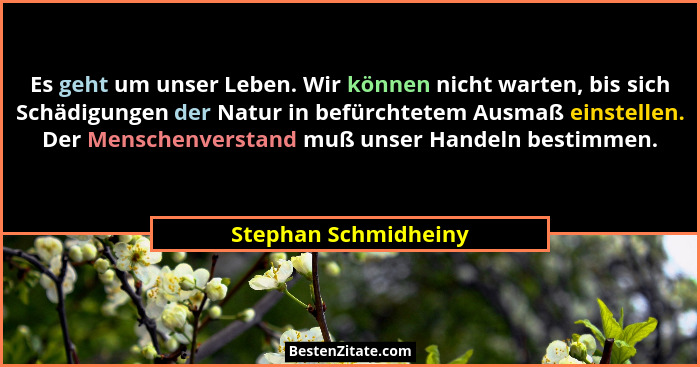 Es geht um unser Leben. Wir können nicht warten, bis sich Schädigungen der Natur in befürchtetem Ausmaß einstellen. Der Menschen... - Stephan Schmidheiny