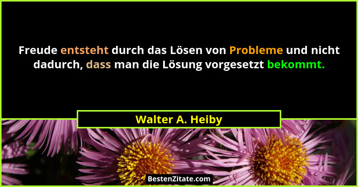 Freude entsteht durch das Lösen von Probleme und nicht dadurch, dass man die Lösung vorgesetzt bekommt.... - Walter A. Heiby
