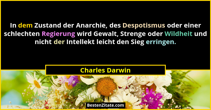 In dem Zustand der Anarchie, des Despotismus oder einer schlechten Regierung wird﻿ Gewalt, Strenge oder Wildheit und nicht der Intell... - Charles Darwin