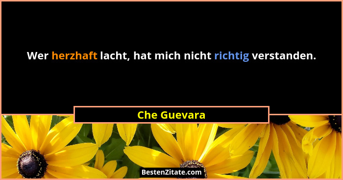 Wer herzhaft lacht, hat mich nicht richtig verstanden.... - Che Guevara