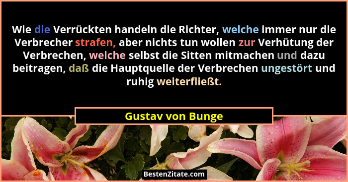 Wie die Verrückten handeln die Richter, welche immer nur die Verbrecher strafen, aber nichts tun wollen zur Verhütung der Verbreche... - Gustav von Bunge