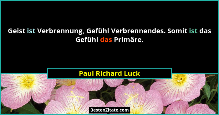 Geist ist Verbrennung, Gefühl Verbrennendes. Somit ist das Gefühl das Primäre.... - Paul Richard Luck