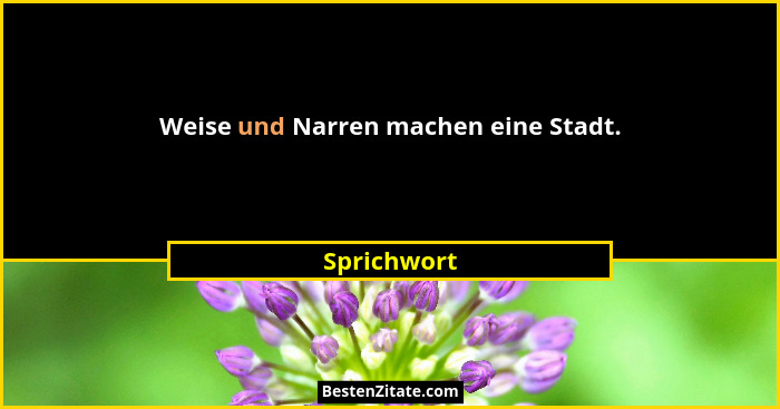 Weise und Narren machen eine Stadt.... - Sprichwort