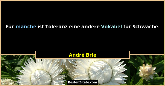 Für manche ist Toleranz eine andere Vokabel für Schwäche.... - André Brie