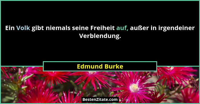 Ein Volk gibt niemals seine Freiheit auf, außer in irgendeiner Verblendung.... - Edmund Burke