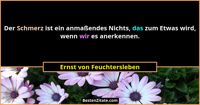 Der Schmerz ist ein anmaßendes Nichts, das zum Etwas wird, wenn wir es anerkennen.... - Ernst von Feuchtersleben