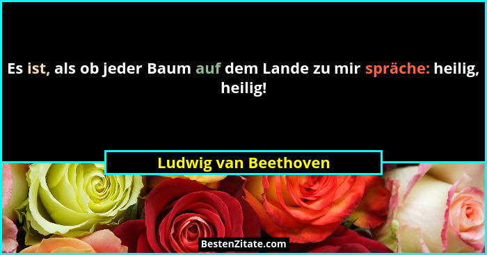 Es ist, als ob jeder Baum auf dem Lande zu mir spräche: heilig, heilig!... - Ludwig van Beethoven