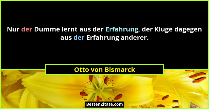 Nur der Dumme lernt aus der Erfahrung, der Kluge dagegen aus der Erfahrung anderer.... - Otto von Bismarck