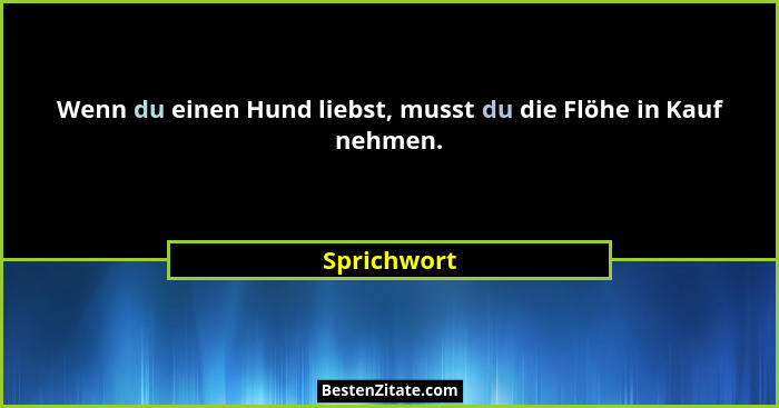 Wenn du einen Hund liebst, musst du die Flöhe in Kauf nehmen.... - Sprichwort