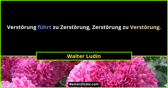 Verstörung führt zu Zerstörung, Zerstörung zu Verstörung.... - Walter Ludin
