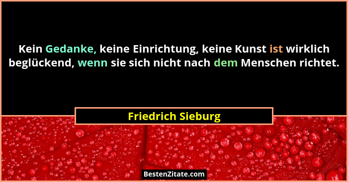 Kein Gedanke, keine Einrichtung, keine Kunst ist wirklich beglückend, wenn sie sich nicht nach dem Menschen richtet.... - Friedrich Sieburg