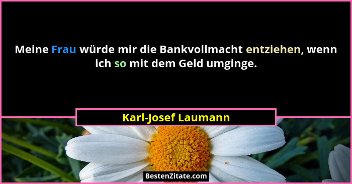 Meine Frau würde mir die Bankvollmacht entziehen, wenn ich so mit dem Geld umginge.... - Karl-Josef Laumann
