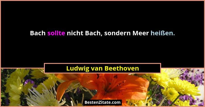 Bach sollte nicht Bach, sondern Meer heißen.... - Ludwig van Beethoven