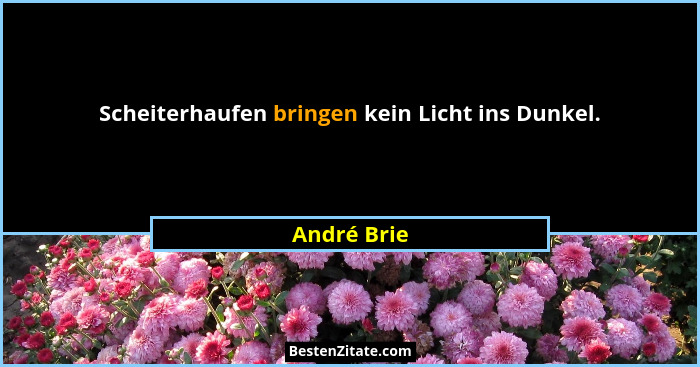 Scheiterhaufen bringen kein Licht ins Dunkel.... - André Brie