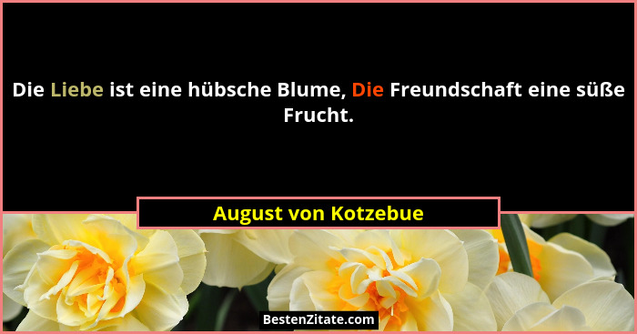 Die Liebe ist eine hübsche Blume, Die Freundschaft eine süße Frucht.... - August von Kotzebue