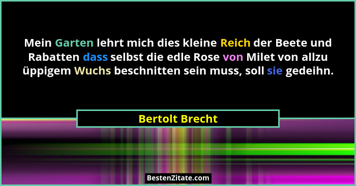 Mein Garten lehrt mich dies kleine Reich der Beete und Rabatten dass selbst die edle Rose von Milet von allzu üppigem Wuchs beschnitt... - Bertolt Brecht