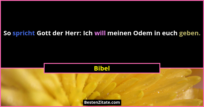So spricht Gott der Herr: Ich will meinen Odem in euch geben.... - Bibel