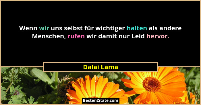 Wenn wir uns selbst für wichtiger halten als andere Menschen, rufen wir damit nur Leid hervor.... - Dalai Lama