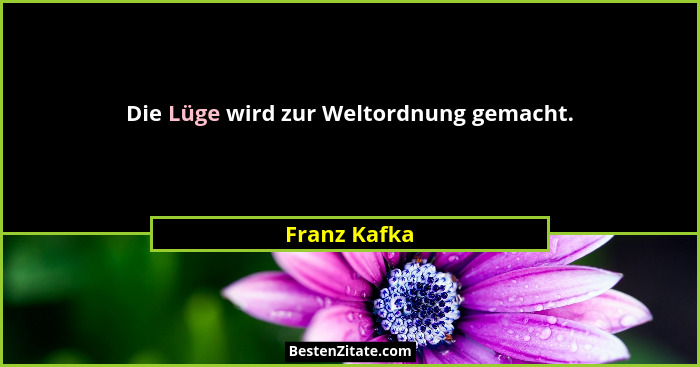 Die Lüge wird zur Weltordnung gemacht.... - Franz Kafka
