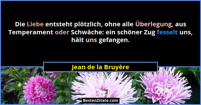 Die Liebe entsteht plötzlich, ohne alle Überlegung, aus Temperament oder Schwäche: ein schöner Zug fesselt uns, hält uns gefangen... - Jean de la Bruyère