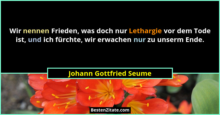 Wir nennen Frieden, was doch nur Lethargie vor dem Tode ist, und ich fürchte, wir erwachen nur zu unserm Ende.... - Johann Gottfried Seume