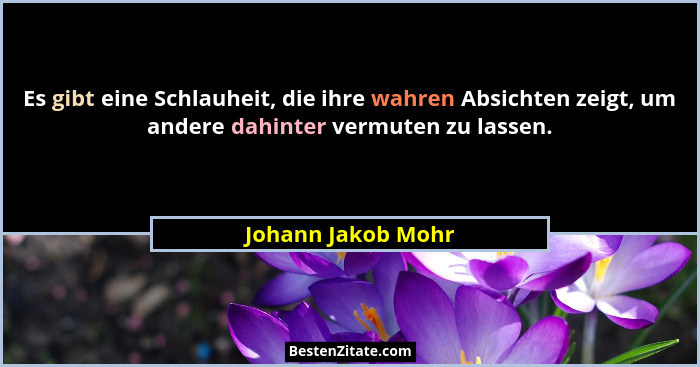 Es gibt eine Schlauheit, die ihre wahren Absichten zeigt, um andere dahinter vermuten zu lassen.... - Johann Jakob Mohr