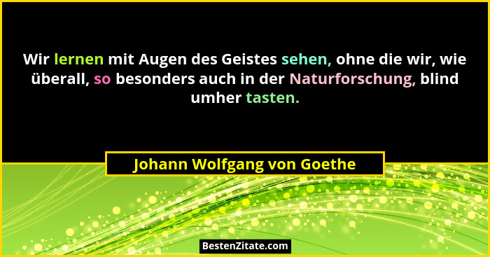 Wir lernen mit Augen des Geistes sehen, ohne die wir, wie überall, so besonders auch in der Naturforschung, blind umher t... - Johann Wolfgang von Goethe