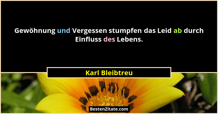 Gewöhnung und Vergessen stumpfen das Leid ab durch Einfluss des Lebens.... - Karl Bleibtreu