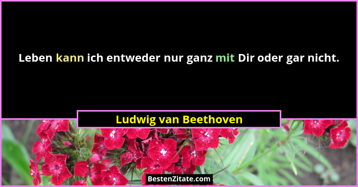 Leben kann ich entweder nur ganz mit Dir oder gar nicht.... - Ludwig van Beethoven