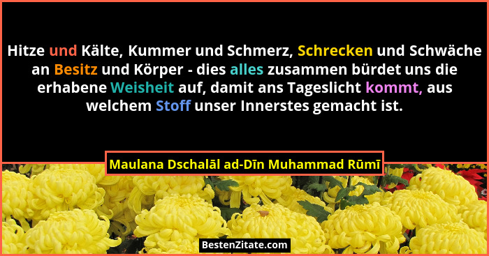 Hitze und Kälte, Kummer und Schmerz, Schrecken und Schwäche an Besitz und Körper - dies alles zusammen bürdet... - Maulana Dschalāl ad-Dīn Muhammad Rūmī