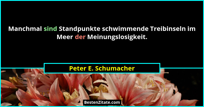 Manchmal sind Standpunkte schwimmende Treibinseln im Meer der Meinungslosigkeit.... - Peter E. Schumacher