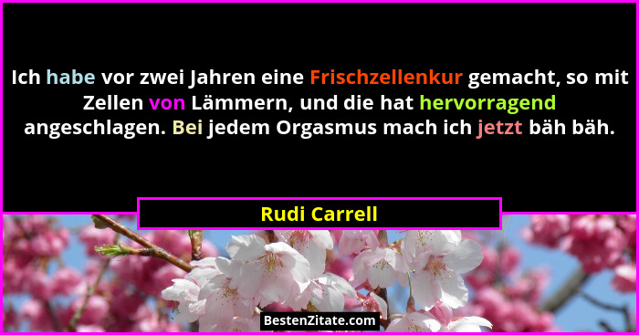 Ich habe vor zwei Jahren eine Frischzellenkur gemacht, so mit Zellen von Lämmern, und die hat hervorragend angeschlagen. Bei jedem Orga... - Rudi Carrell