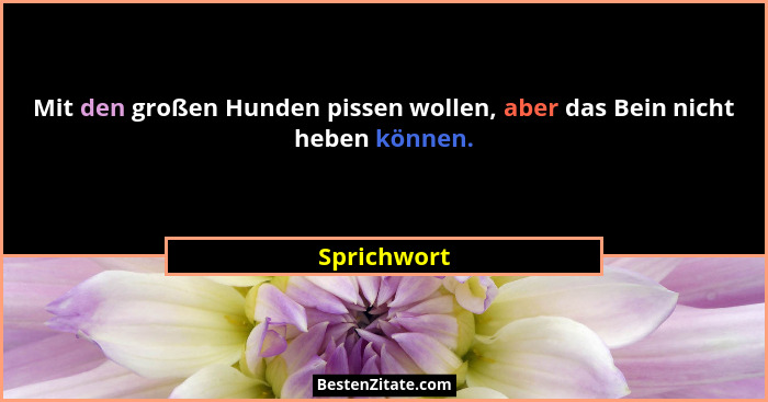 Mit den großen Hunden pissen wollen, aber das Bein nicht heben können.... - Sprichwort