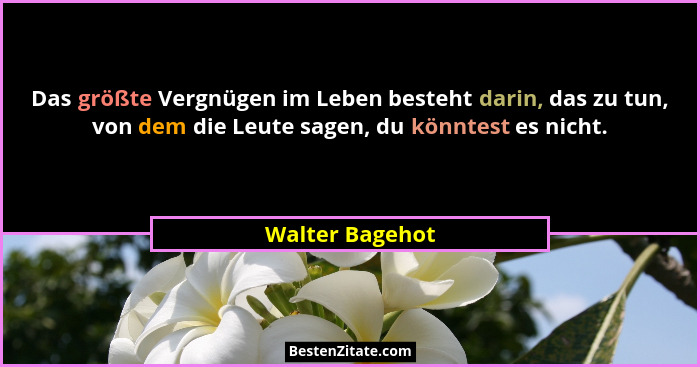Das größte Vergnügen im Leben besteht darin, das zu tun, von dem die Leute sagen, du könntest es nicht.... - Walter Bagehot