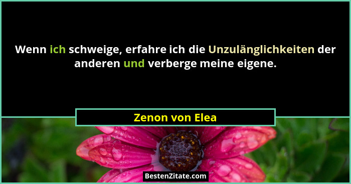 Wenn ich schweige, erfahre ich die Unzulänglichkeiten der anderen und verberge meine eigene.... - Zenon von Elea