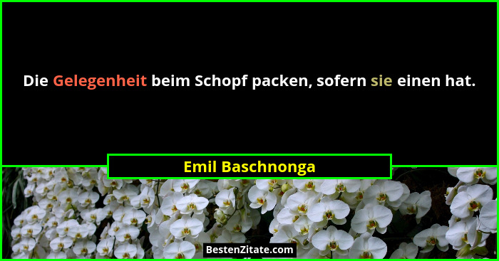 Die Gelegenheit beim Schopf packen, sofern sie einen hat.... - Emil Baschnonga