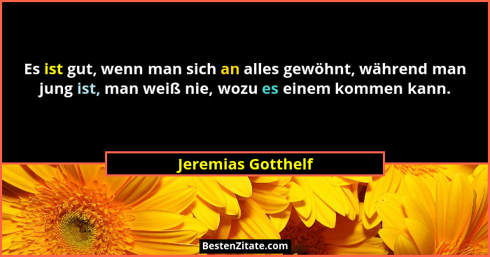 Es ist gut, wenn man sich an alles gewöhnt, während man jung ist, man weiß nie, wozu es einem kommen kann.... - Jeremias Gotthelf