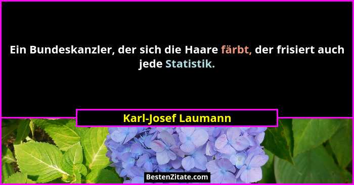 Ein Bundeskanzler, der sich die Haare färbt, der frisiert auch jede Statistik.... - Karl-Josef Laumann